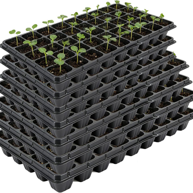 Seedling Tray